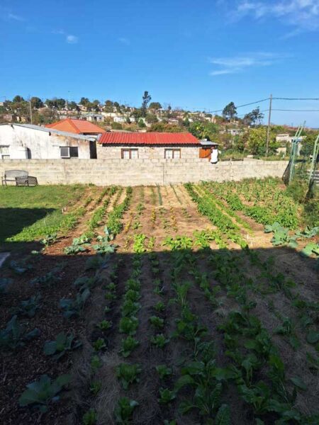 community-resource-centre-garden-project
